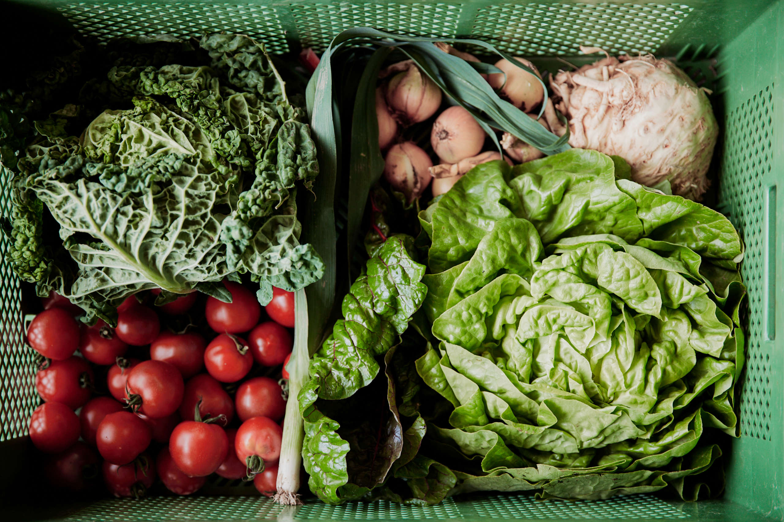 Eine grüne NAPF-Kiste, gefüllt mit Gemüse